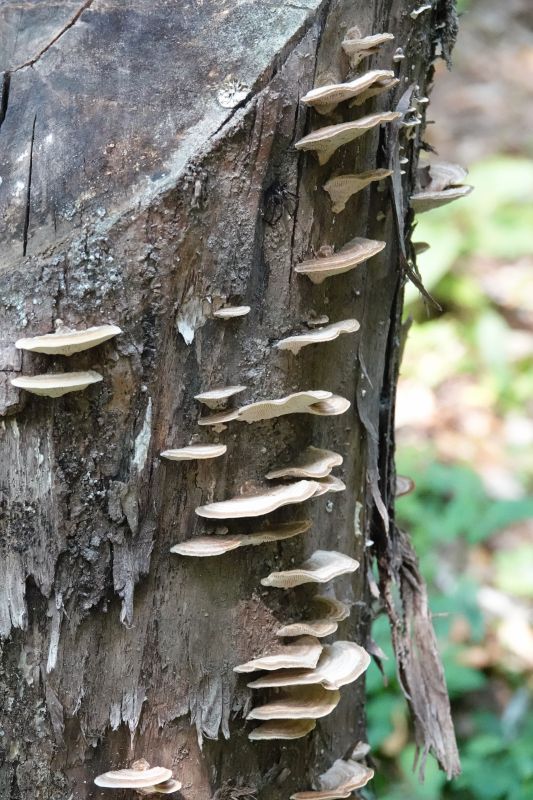 Viewing photos→2024→2024-09-07→64