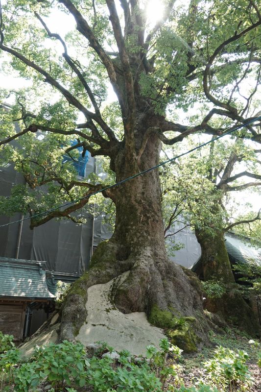 Viewing photos→2024→2024-09-07→67