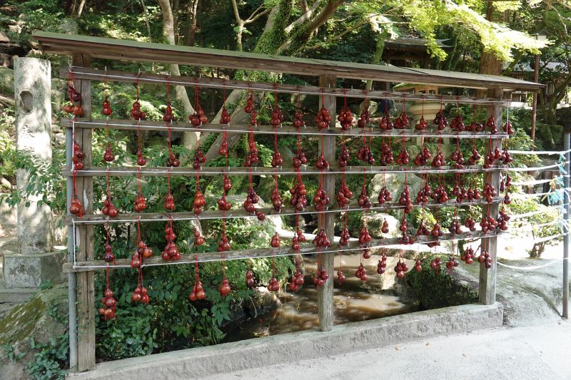 Viewing photos→2024→2024-09-07→68