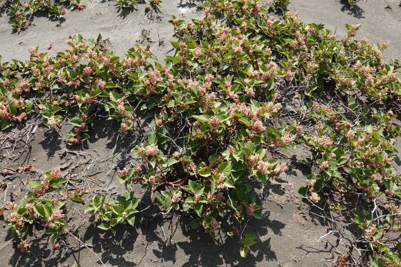 Viewing photos→2024→2024-09-09→28