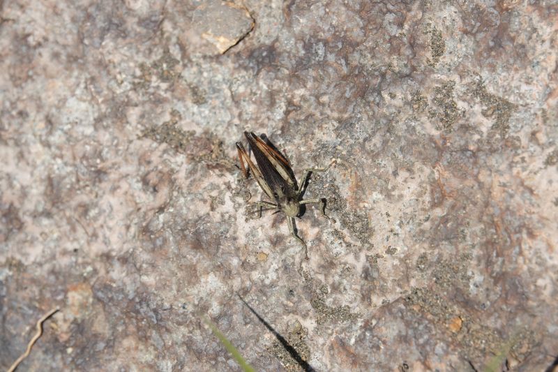 Viewing photos→2024→2024-09-09→32