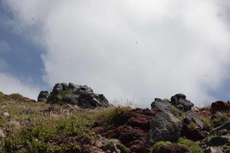 Viewing photos→2024→2024-09-09→36