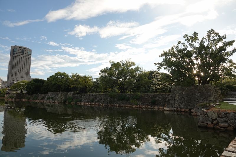 Viewing photos→2024→2024-09-10→24