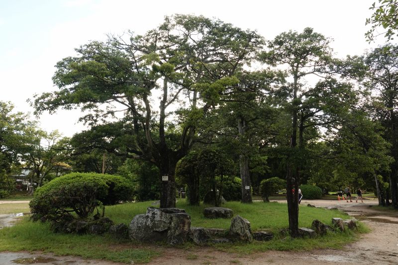 Viewing photos→2024→2024-09-10→25