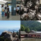 2024-09-11<br/>
<b>Itsukushima, Japan</b>
