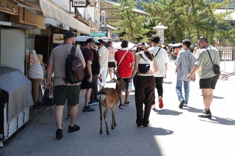 Viewing photos→2024→2024-09-11→04