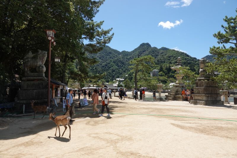 Viewing photos→2024→2024-09-11→05