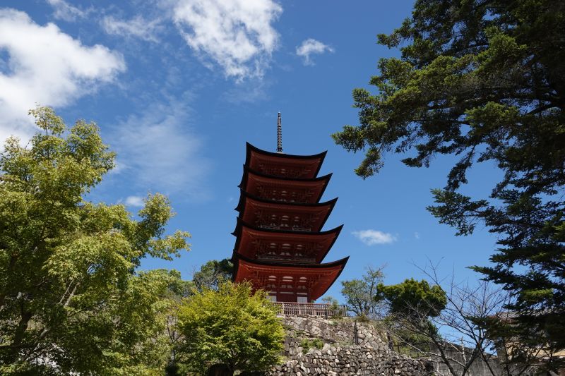 Viewing photos→2024→2024-09-11→11