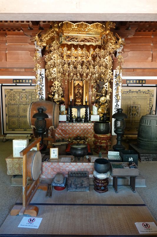 Viewing photos→2024→2024-09-11→33