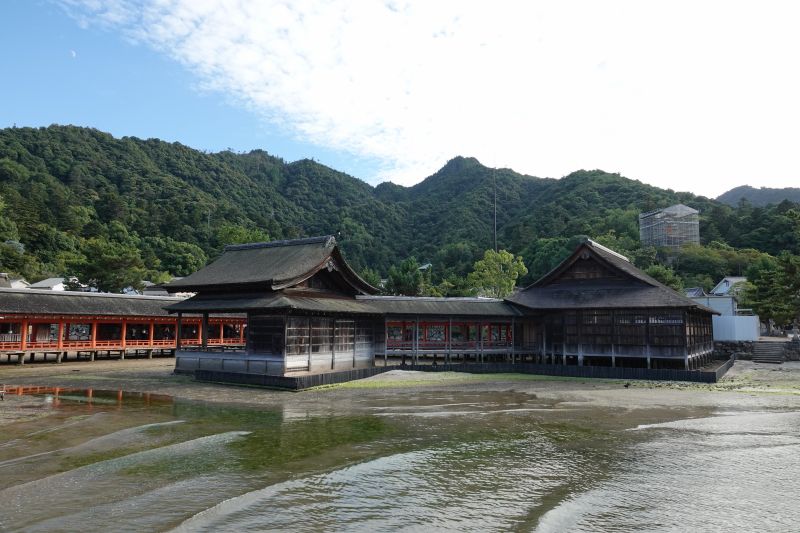 Viewing photos→2024→2024-09-11→45