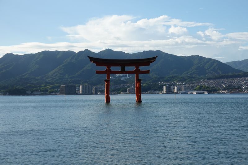 Viewing photos→2024→2024-09-11→47