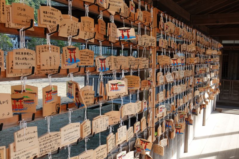 Viewing photos→2024→2024-09-11→51