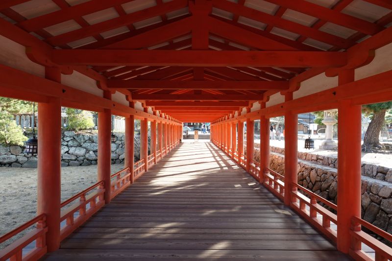 Viewing photos→2024→2024-09-11→55