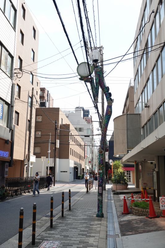 Viewing photos→2024→2024-09-12→26