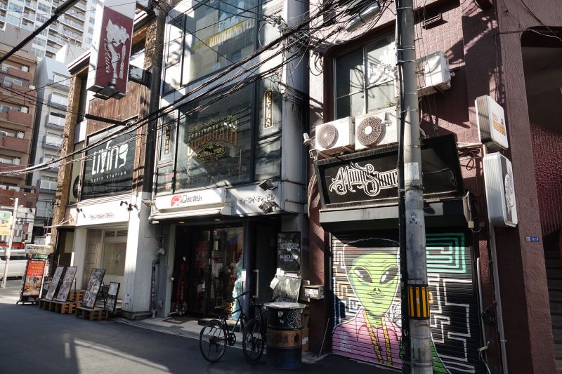 Viewing photos→2024→2024-09-12→33