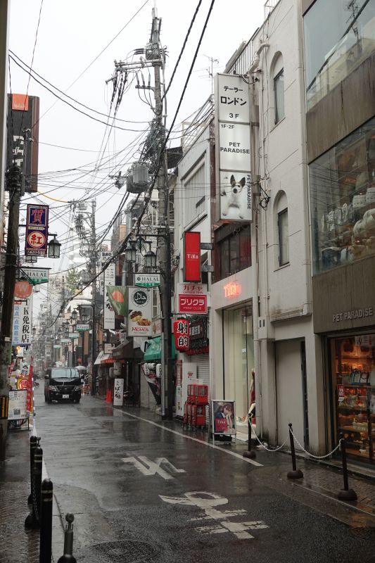 Viewing photos→2024→2024-09-12→42