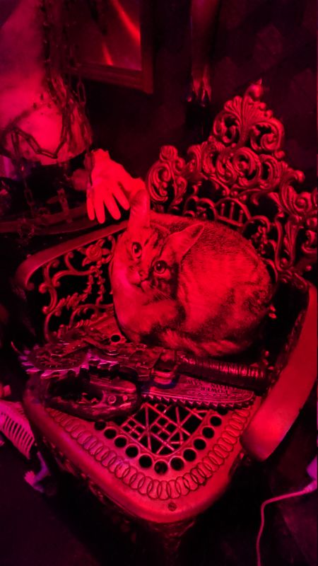 Viewing photos→2024→2024-09-12→61