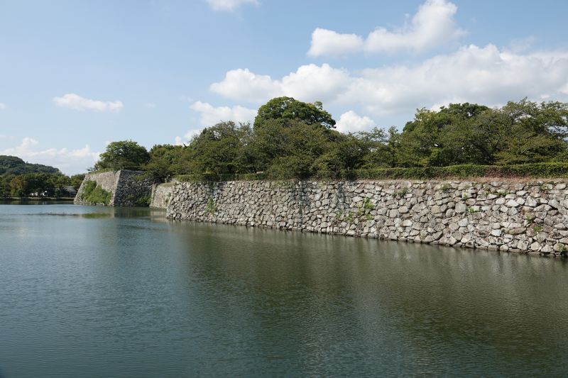 Viewing photos→2024→2024-09-13→03