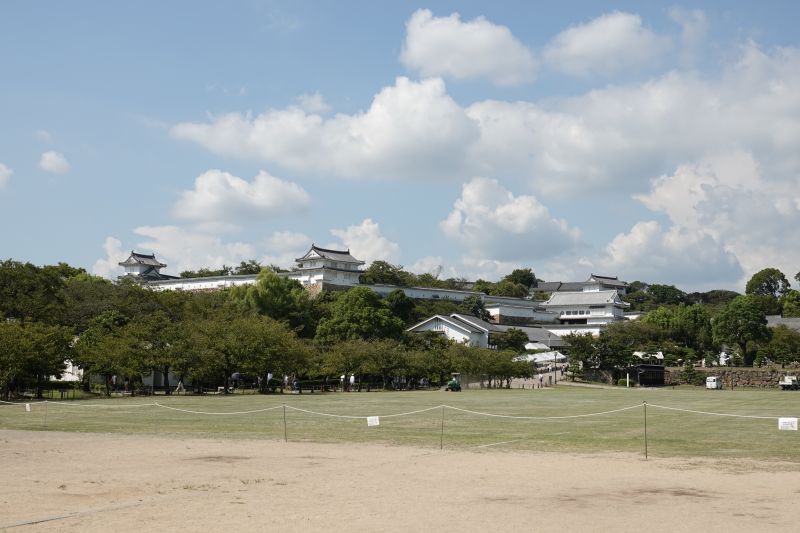 Viewing photos→2024→2024-09-13→04