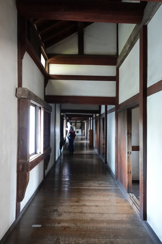 Viewing photos→2024→2024-09-13→14