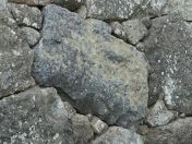 16.jpg - 2024:09:13 05:50:31