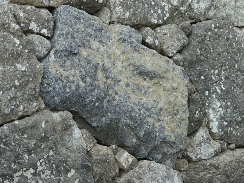 Viewing photos→2024→2024-09-13→16