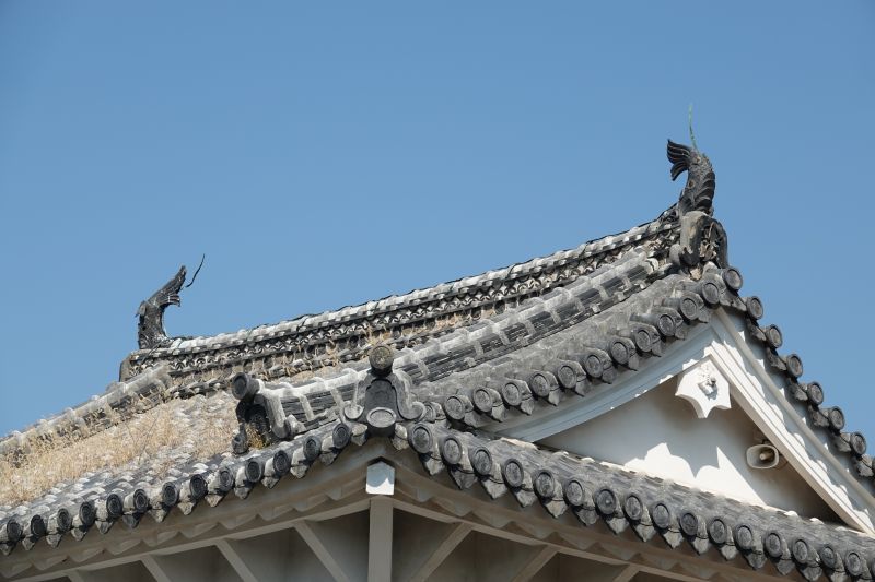 Viewing photos→2024→2024-09-13→21