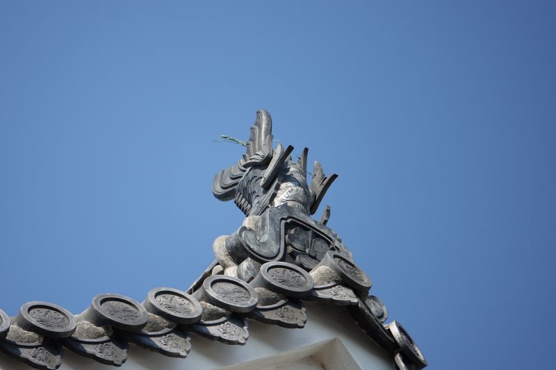 Viewing photos→2024→2024-09-13→24