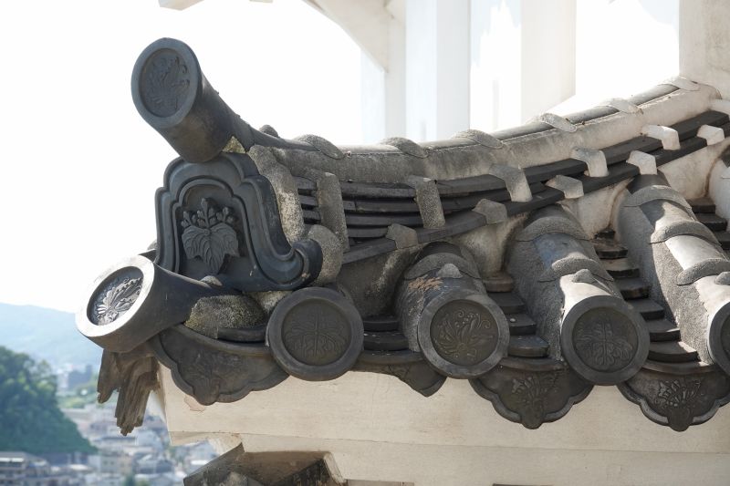 Viewing photos→2024→2024-09-13→29