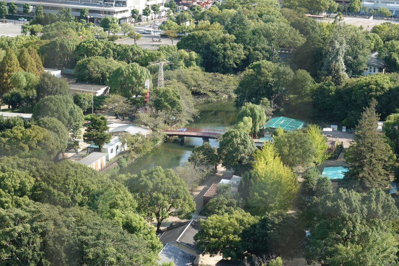 Viewing photos→2024→2024-09-13→35