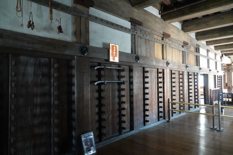 Viewing photos→2024→2024-09-13→38