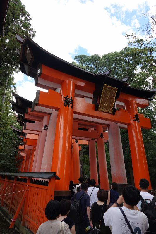 Viewing photos→2024→2024-09-14→08