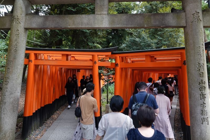 Viewing photos→2024→2024-09-14→10