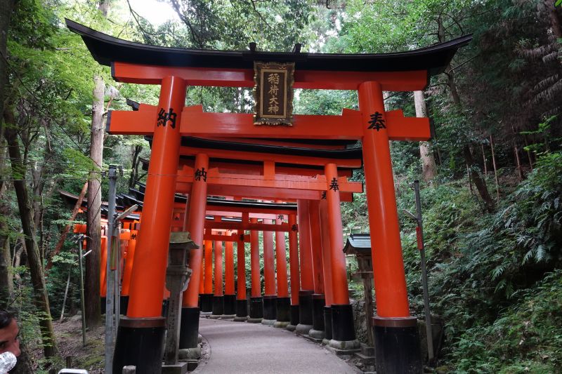 Viewing photos→2024→2024-09-14→11