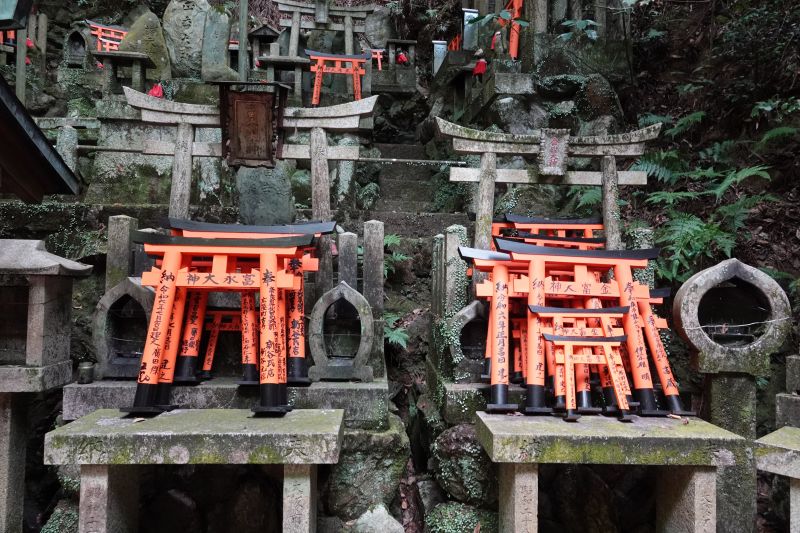 Viewing photos→2024→2024-09-14→16