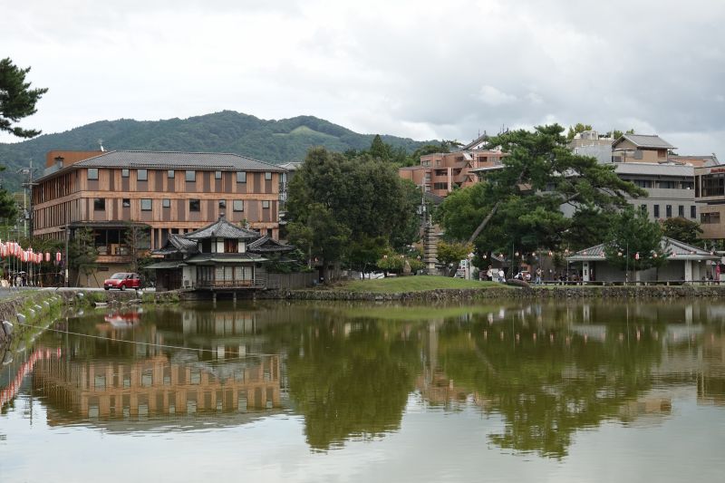 Viewing photos→2024→2024-09-15→04