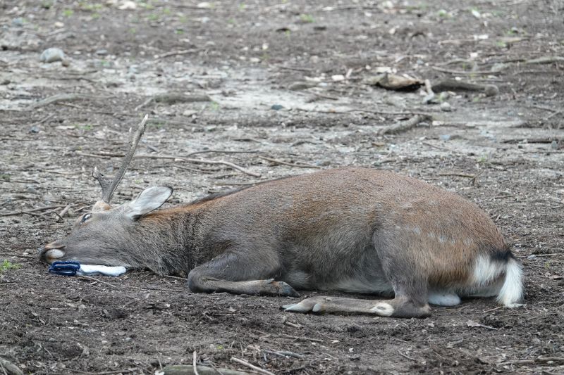 Viewing photos→2024→2024-09-15→07