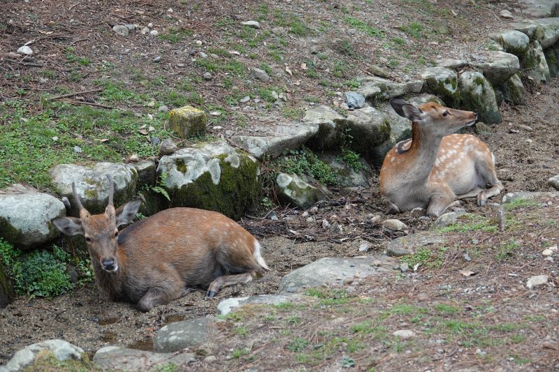 Viewing photos→2024→2024-09-15→10