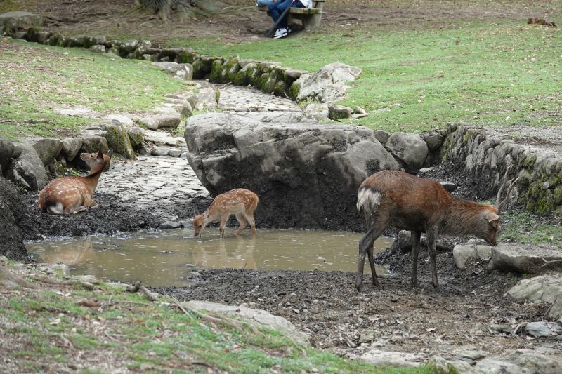 Viewing photos→2024→2024-09-15→11