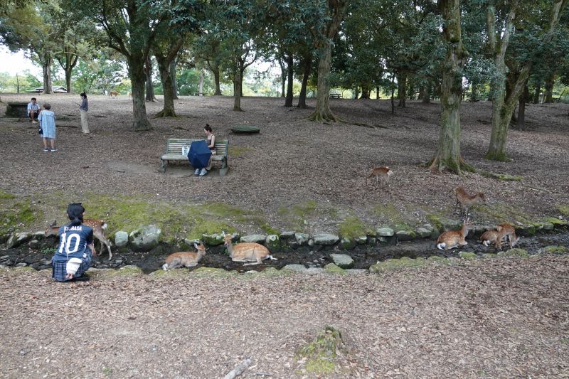 Viewing photos→2024→2024-09-15→12