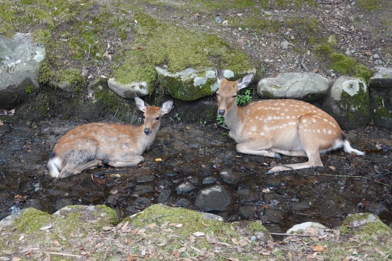 Viewing photos→2024→2024-09-15→13