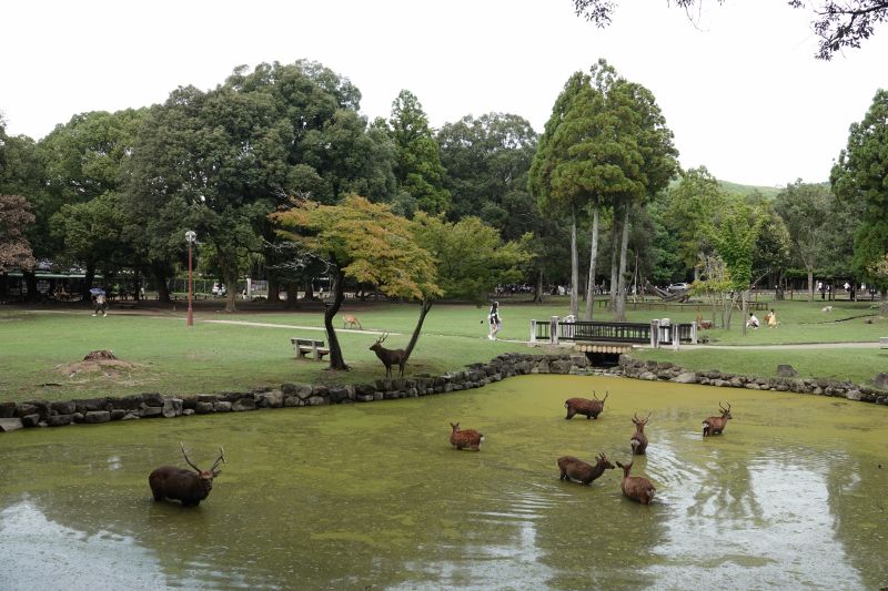 Viewing photos→2024→2024-09-15→14