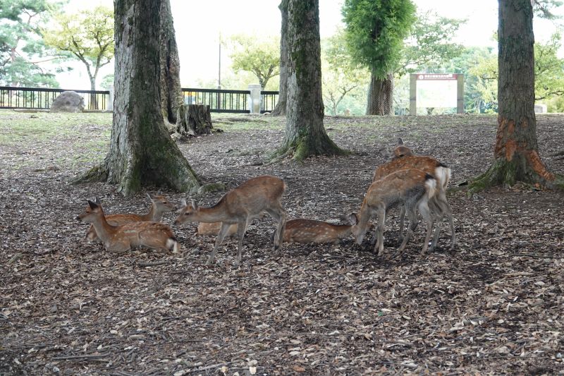 Viewing photos→2024→2024-09-15→16