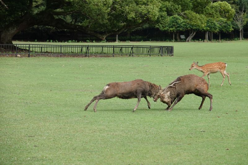 Viewing photos→2024→2024-09-15→22