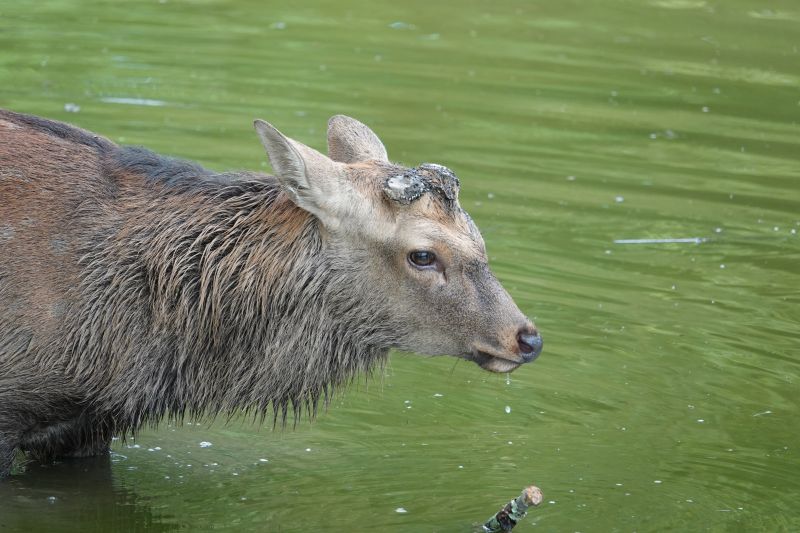 Viewing photos→2024→2024-09-15→25