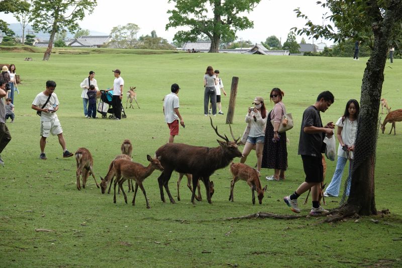 Viewing photos→2024→2024-09-15→27