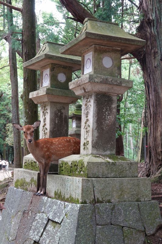 Viewing photos→2024→2024-09-15→35