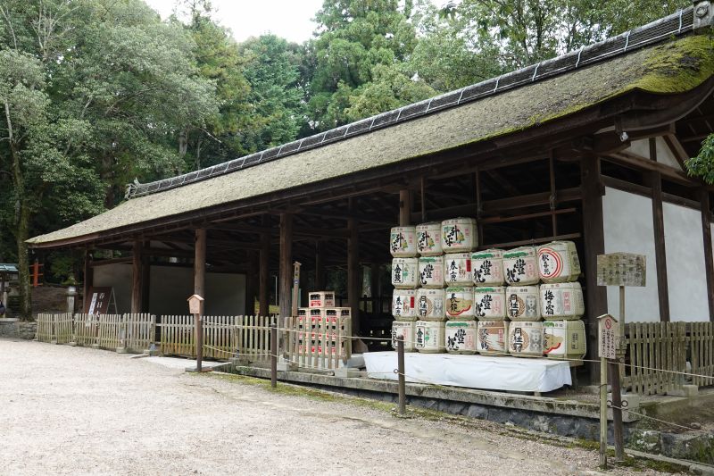 Viewing photos→2024→2024-09-15→37