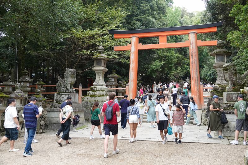 Viewing photos→2024→2024-09-15→41