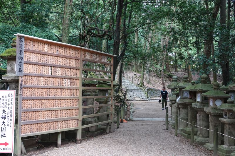 Viewing photos→2024→2024-09-15→45